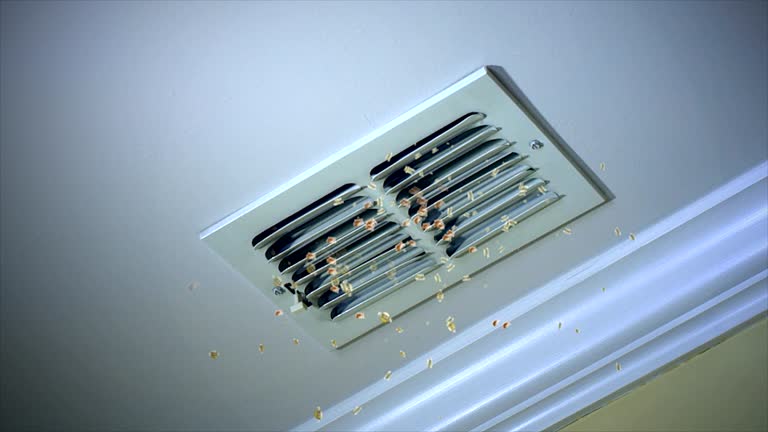 Best Dryer Vent Cleaning Services  in Morganfield, KY