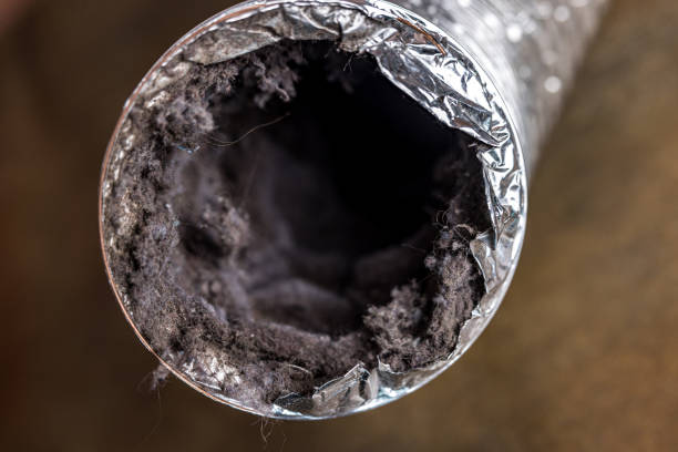 Best HVAC System Cleaning  in Morganfield, KY